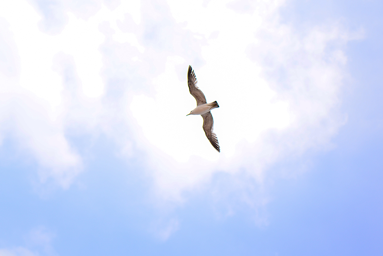 DSC_5505.JPG