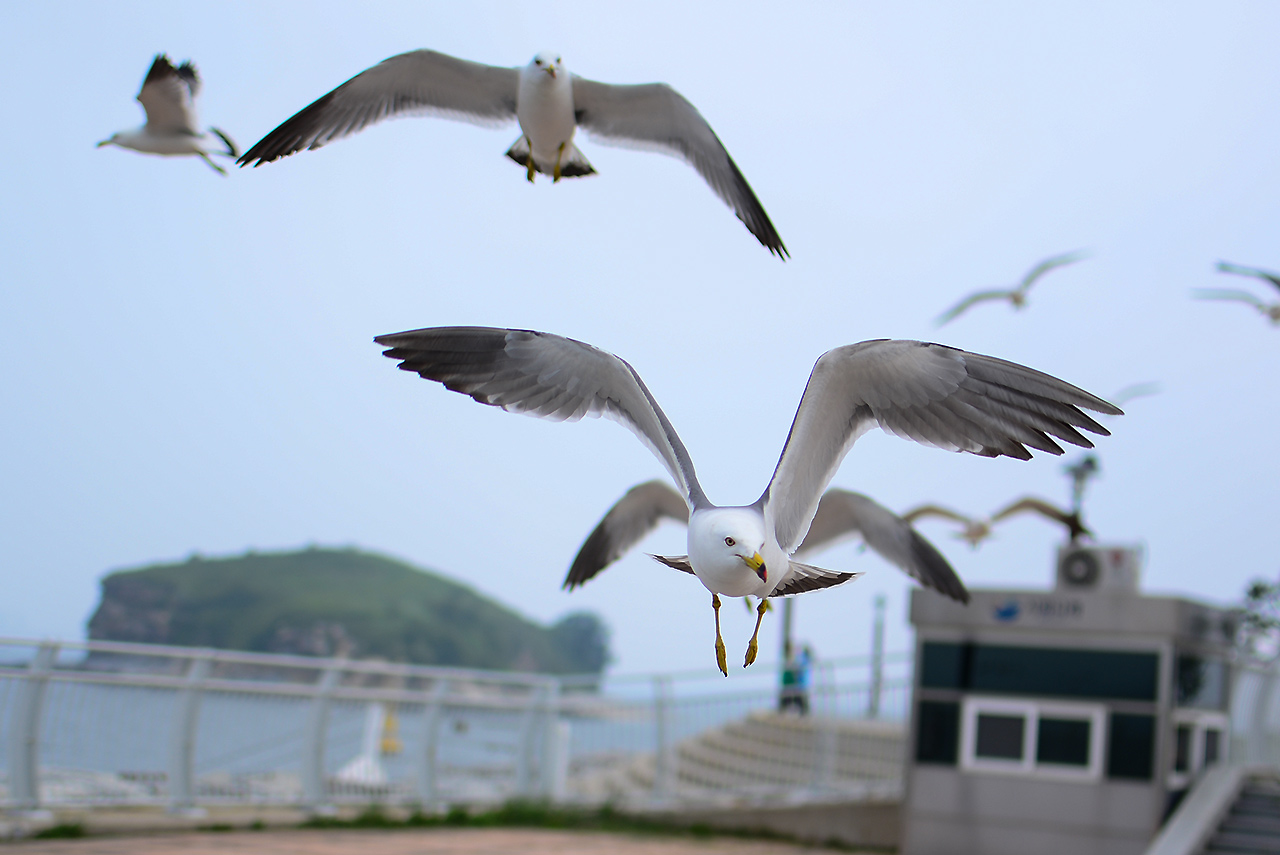 DSC_5520.JPG